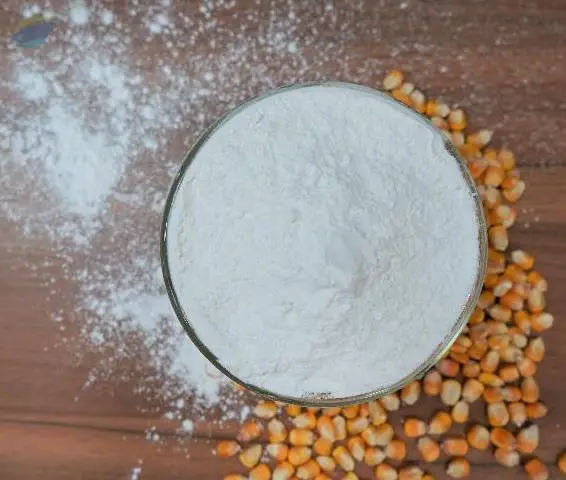 Maize Starch Powder USP