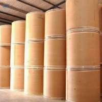 Paper & Paper Products