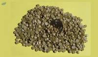 Sulphur Bentonite
