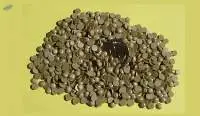 Sulphur Bentonite