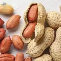 Groundnuts