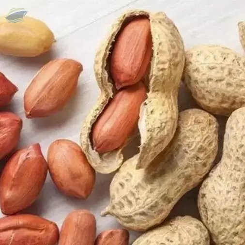 Groundnuts