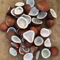 Coconut Copra