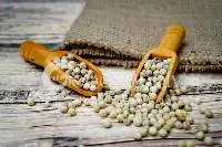 White Pepper