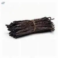 Vanilla Processed Beans
