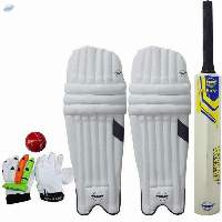Cricket Set