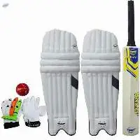 Cricket Set