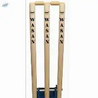 Spring Back Stumps