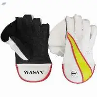 Wicket Keeping Gloves