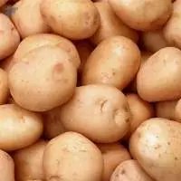 Potato