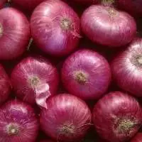 Fresh Onion