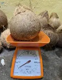 Coconut Semi Husked