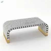 Bone Inlay Coffee Table