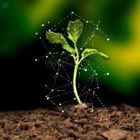 Ferteez The Fertilizer Of Future