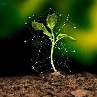 Ferteez The Fertilizer Of Future