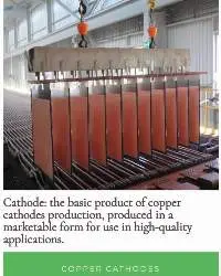 Copper Cathode