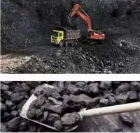 Coal