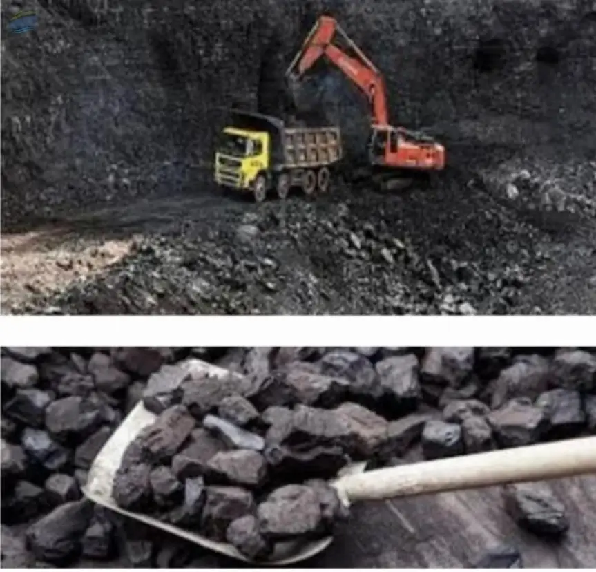 Coal
