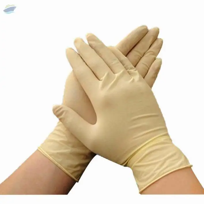 Surgical Gloves