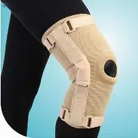 Hinged Knee Support