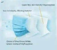 3 Ply Mask