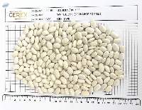 White "Navy" Beans