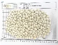 White "Navy" Beans