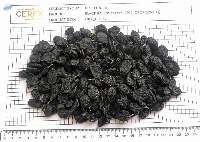 Dried Black Raisins Uzbek Soyaki Type