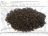 Black Pepper