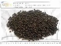 Black Pepper