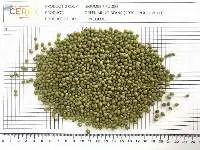 Green Mung Beans