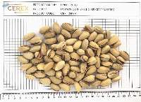 Pistachios