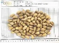 Pistachios