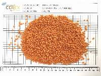 Red Lentils