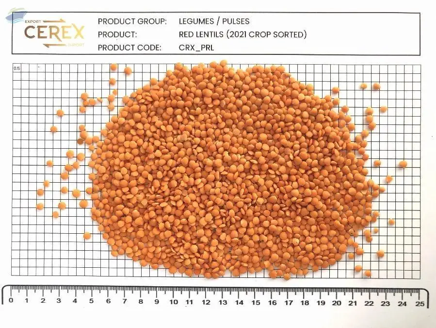Red Lentils