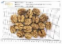 Walnut Kernels