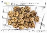 Walnut Kernels