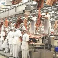 Beef from Argentina and Brazil