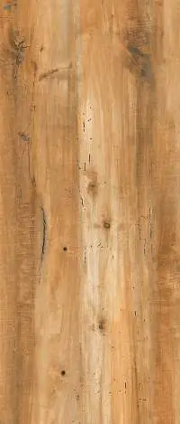 Porcelain Tiles Wooden Finish