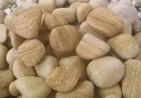 Teakwood Sandstone Pebble Stones