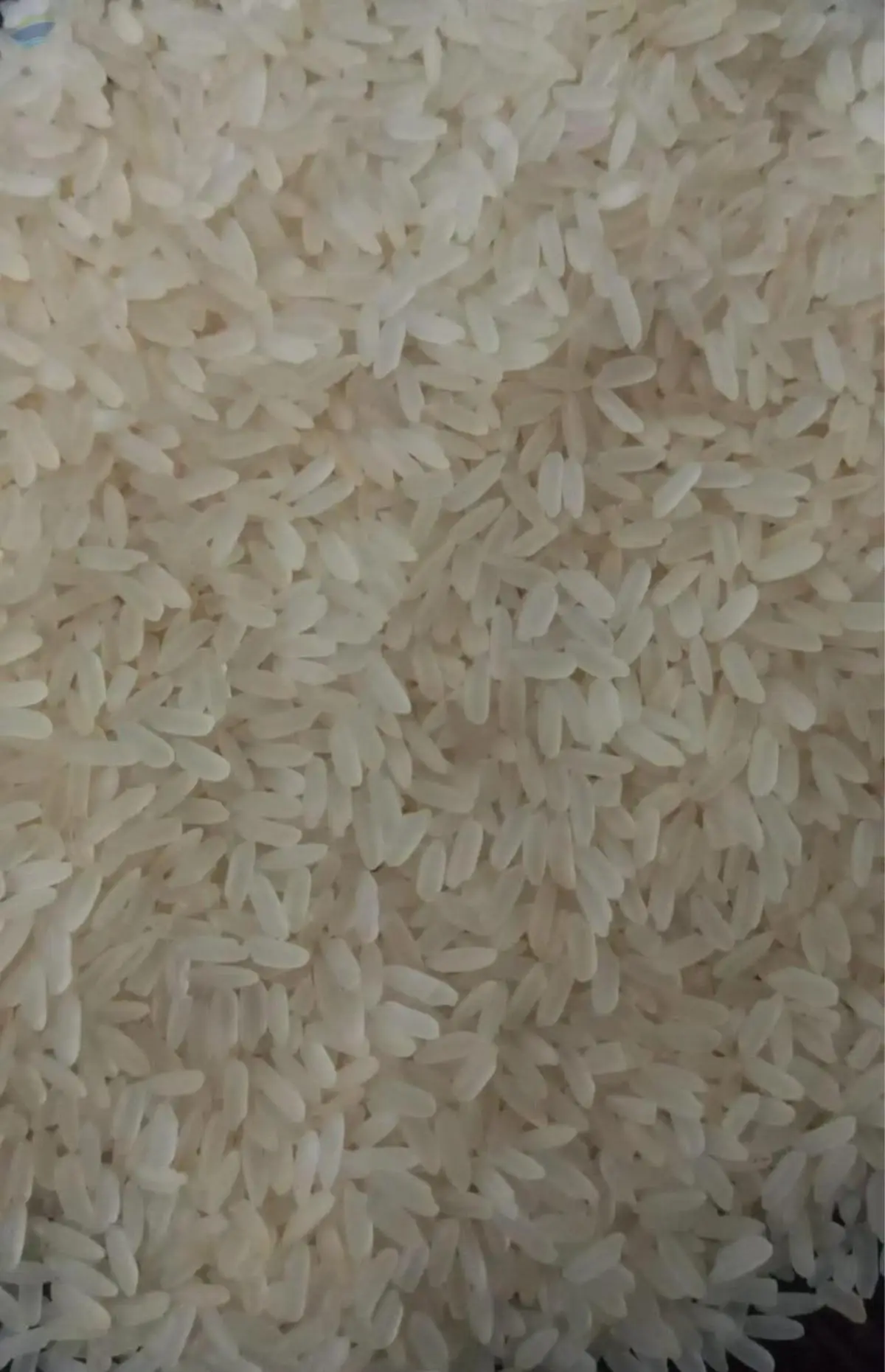 IR 64 Parboiled Rice 5% Broken