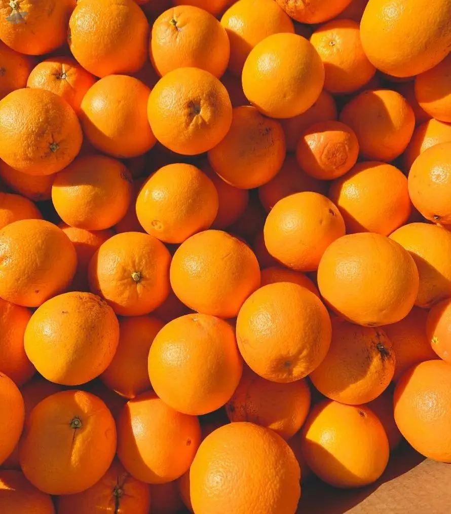 Oranges