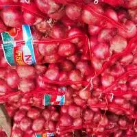 Onion