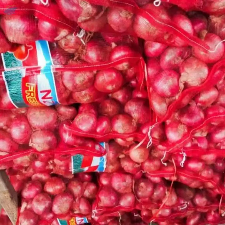 Onion