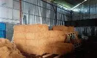 Coconut Fiber/Coir Fiber