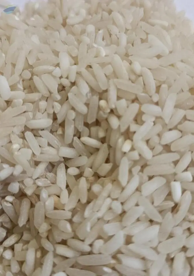 Rice