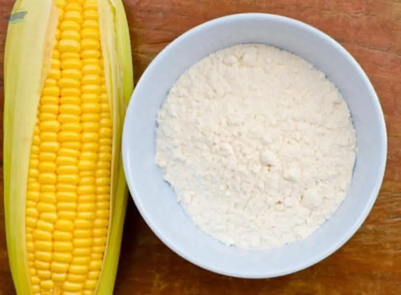 Corn/ Maize Starch