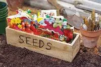 Seeds