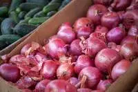 Red Onion