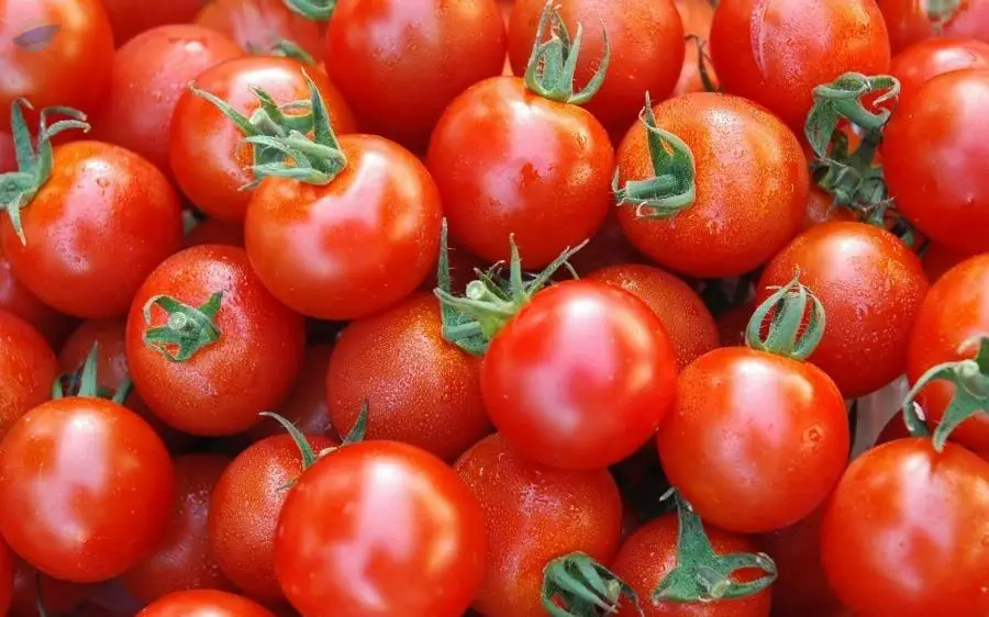 Tomatoes